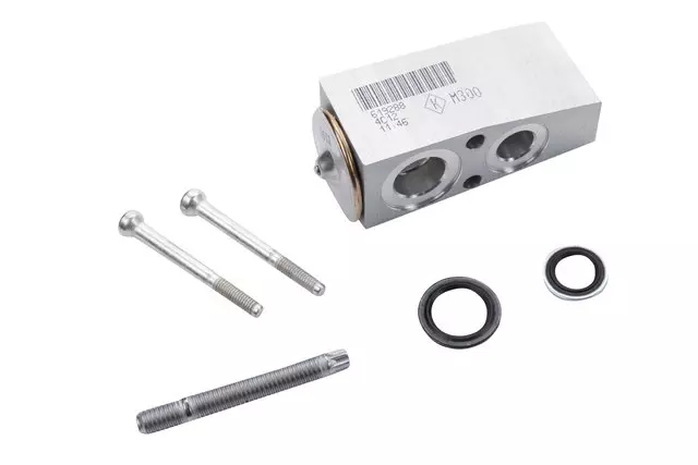 Acdelco™ Expansion Valve - GM (1534680)