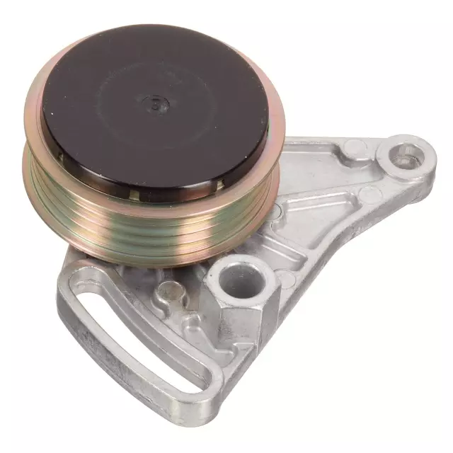 FT10309 - : Accessory Drive Belt Tensioner for INA US Image