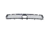 6UZ24RXFAC - Frame, Bumper and Fascia: Lower Grille for Dodge: Durango Image