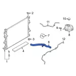LX6Z8260N - Cooling System: Upper Hose for Ford Image