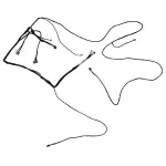 BB5Z14334J - : Wiring Assembly for Ford Image