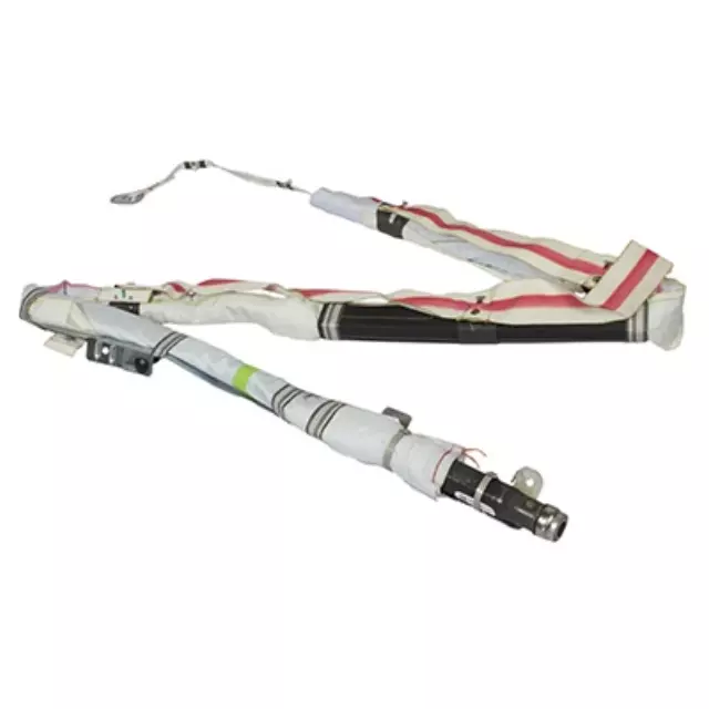 Head Air Bag - Ford (DP5Z-54042D94-A)