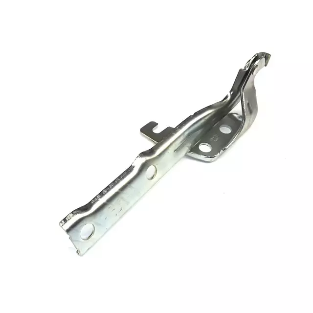Hinge - Volkswagen (5N0-823-301-A)