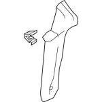 DM5Z5852018AA - Body: Pillar Trim for FORD Image