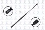 84313 - : Liftgate Lift Support for Focus Auto Parts Image