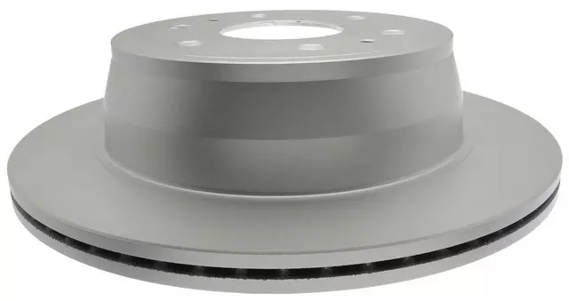 Fully Coated Rear Disc Brake Rotor - GM (19340369)