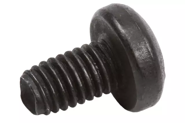 High Mount Lamp Screw - GM (11570116)