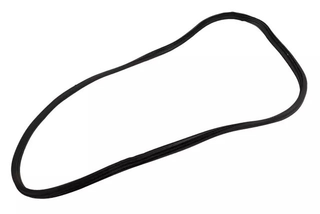 84710502 - : Weather-Strip On Body for Cadillac: ATS, CT4 Image