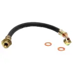 19156584 - : Hose for GM Image