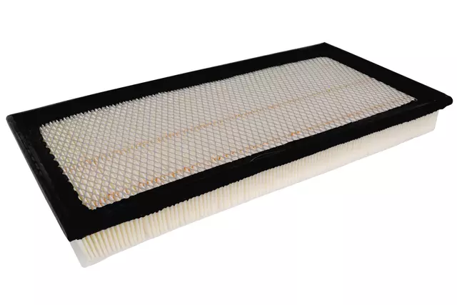 Air Filter - GM (19259103)