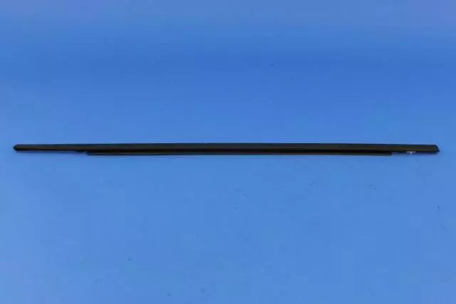 Door Belt Outer Weatherstrip, Right - Mopar (68442238AA)
