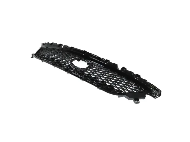 6WF63DX8AB - Exterior Ornamentation: Lower Grille for Mopar Image image