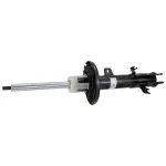 AST84819 - Suspension: Motorcraftâ„¢ Strut for Ford: EcoSport Image