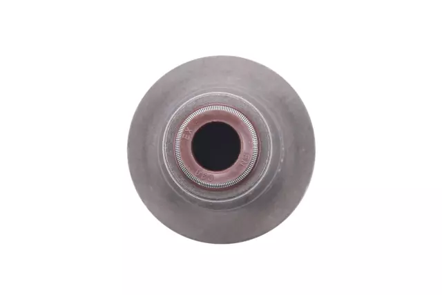 12689006 - : Valve Seals for Cadillac: CT5, CTS, Escalade, Escalade ESV | Chevrolet: Camaro, Corvette, Express 2500, Express 3500, Express 4500, Silverado 1500, Silverado 1500 LD, Silverado 1500 LTD, Silverado 2500 HD, Silverado 3500 HD, Suburban, Tahoe | GMC: Savana 2500, Savana 3500, Savana 4500, Sierra 1500, Sierra 1500 Limited, Sierra 2500 HD, Sierra 3500 HD, Yukon, Yukon XL Image