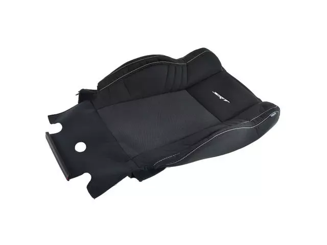 5YB49DX9AB - Interior Trim: Front Seat Back Cover, Left for Dodge: Charger Image