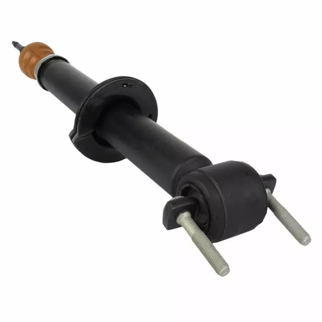 GL3Z18124D - : 2015-2017 Ford F-150 - Shock Absorber for Ford: F-150 Image