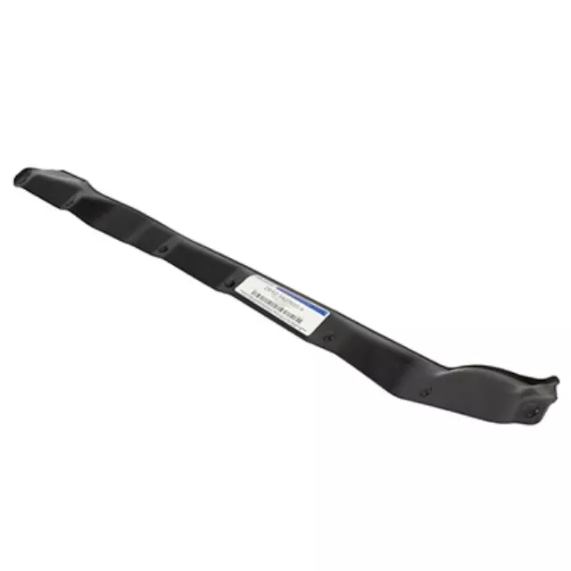 Front Weather-Strip - Ford (DP5Z-5420520-A)