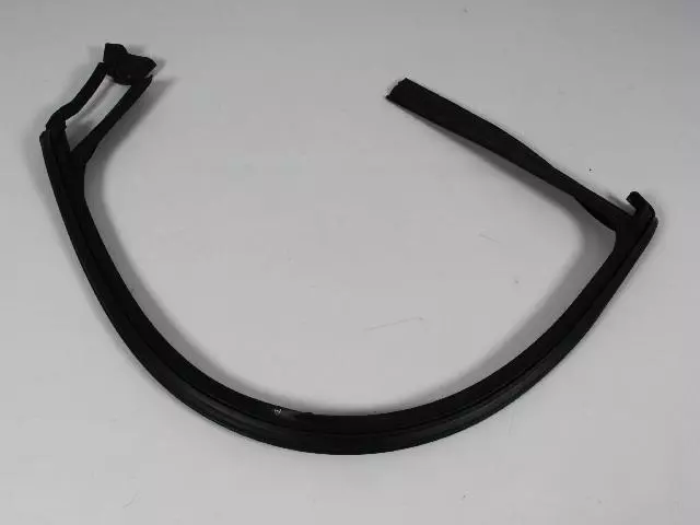 Front Door Glass Run Weatherstrip, Left - Mopar (68070049AI)
