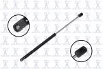 84339 - : Focus Auto Parts Hood Lift Support for Focus Auto Parts Image