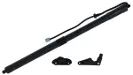 615107 - : Liftgate Lift Support for Tuff Support Image