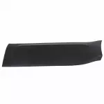 YL8Z78101A05FAB - Body: Body Side Molding for FORD Image