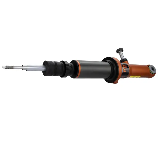 AST806109 - Suspension: Motorcraft™ Shock Absorber for Ford: F-150 Image