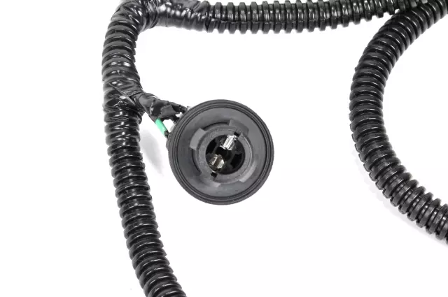 Socket & Wire - GM (23141279)