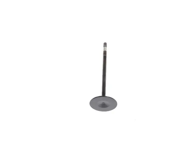 5184127AC - 3.6L Gas; Engine: Intake Valve for Mopar Image