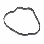 CG811 - : Fuel Pump Gasket  for Motorcraft Image