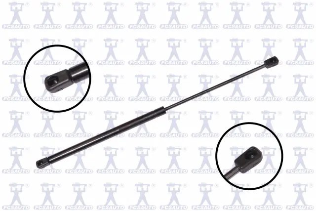 84255 - Exterior: Hood Lift Support for Focus Auto Parts Image