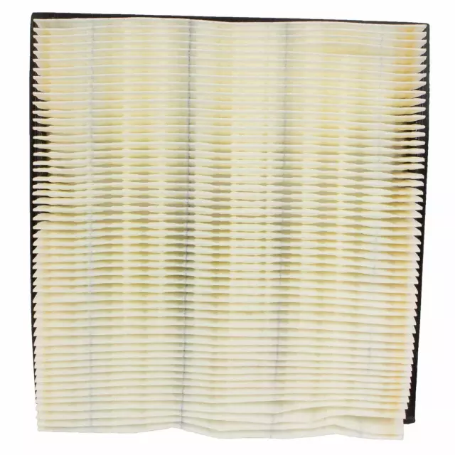 Element Assembly Air Cleaner - Ford (QFA72)