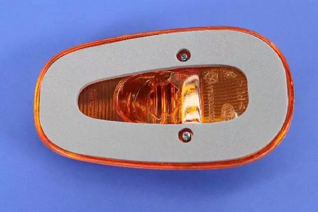 Roof Lamp Assembly - Mopar (55077067AA)