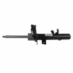 AST12241 - : Shock Absorber Assembly for Ford: Escape Image