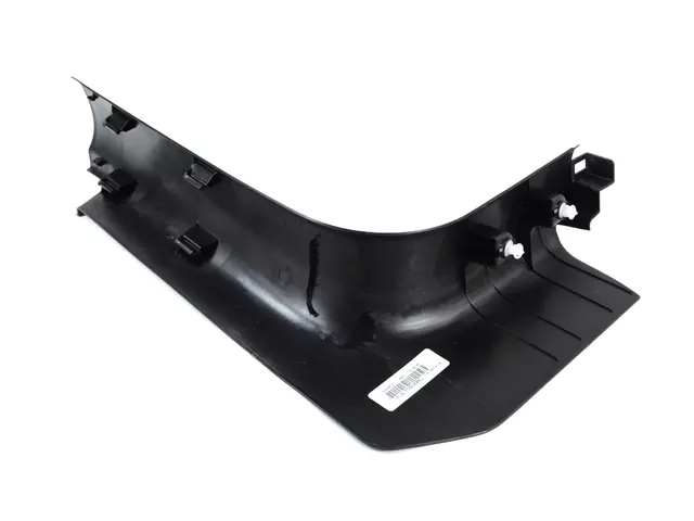 Molding - Mopar (5LY05DX9AC)
