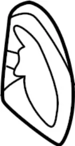 638A25NA0B - : Wheelhouse Cover for Infiniti Image