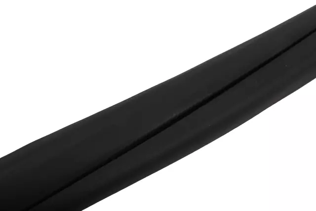 Rear Side Door Weatherstrip - GM (84710501)