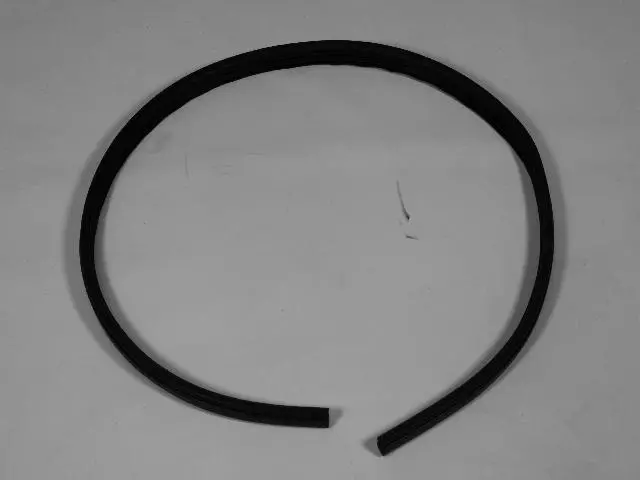 1EK87XXXAD - Doors, Door Mirrors and Related Parts: Front Door Opening Weatherstrip, Left for Mopar Image