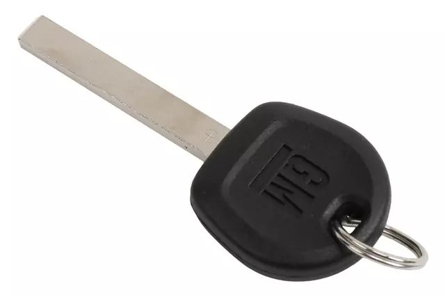 Door Lock And Ignition Lock Key - GM (13531099)