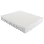 FP99 - : Cabin Air Filter for Ford: Maverick, Mustang Mach-E Image