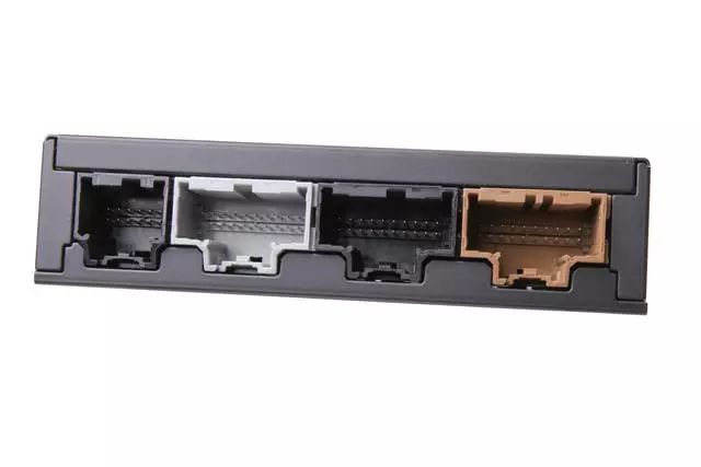 Module - GM (13599333)