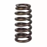 ER3Z6513B - Engine: Valve Springs for Ford: Expedition, Explorer, Explorer Sport Trac, F-150, F-150 Heritage, F-250 Super Duty, F-350 Super Duty, F-450 Super Duty, F-550 Super Duty, Mustang | Lincoln: Mark LT, Navigator | Mercury: Mountaineer Image