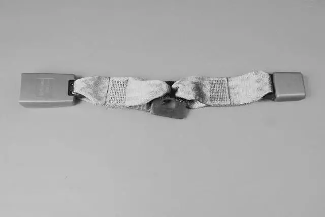 ZW111KAAC - Interior Trim: Rear Inner Seat Belt, Right for Dodge: Caliber Image