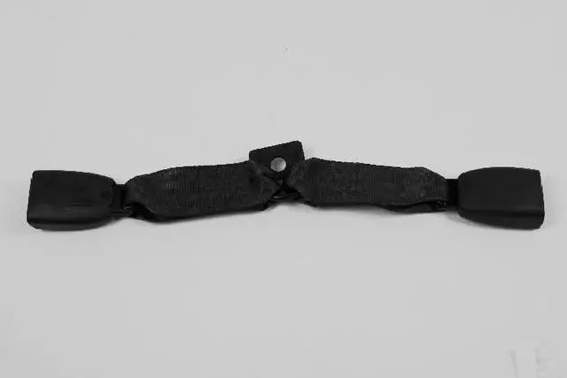 Rear Inner Seat Belt - Mopar (SP431L2AA)