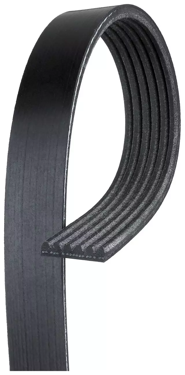 6K724 - : Standard V-Ribbed Serpentine Belt for ACDelco Image