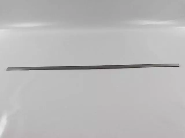 Front Door Molding, Left - Mopar (WG19WS2AC)