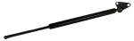 612926 - : Liftgate Lift Support for Tuff Support Image