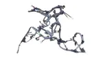 821210E351 - : Engine Wiring Harness for Toyota Image