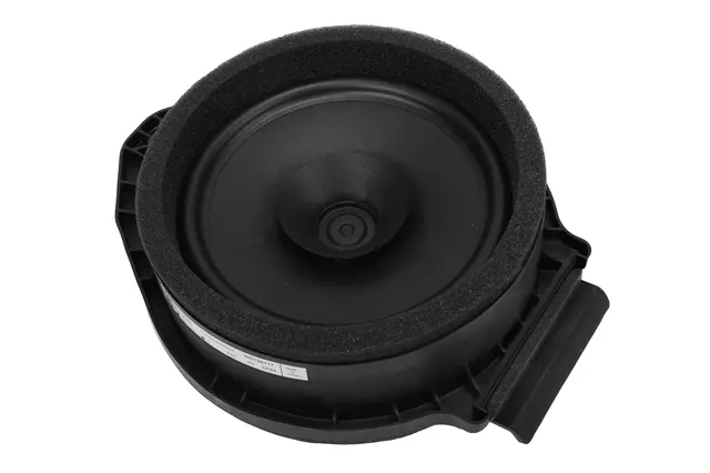 Rear Dr Speaker - GM (39243285)
