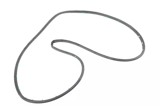 Rear Driver Side Door Weatherstrip - GM (84228134)