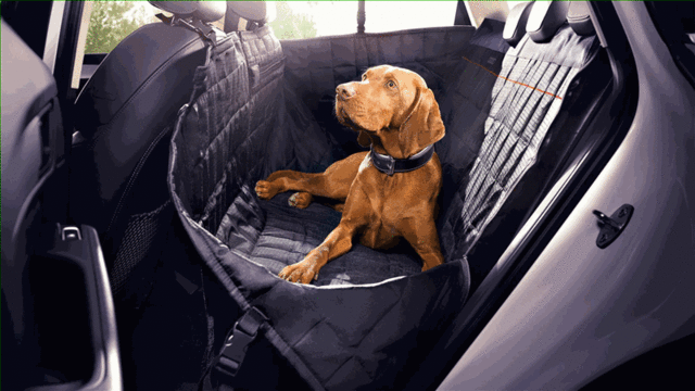 8X0061680A - Interior: Protective Rear Seat Pet Cover for Audi: A3, A3 Quattro, A3 Sportback e-tron, A4 allroad, A4 Quattro, A5 Quattro, A5 Sportback, A6 allroad, A6 Quattro, A7 Quattro, A7 Sportback, A8 Quattro, Q3, Q5, Q7, Q8, RS3, RS5, RS5 Sportback, RS7, S3, S4, S5, S5 Sportback, S6, S7, S8, SQ5, SQ7, SQ8, TT Quattro, TT RS Quattro, TTS Quattro Image